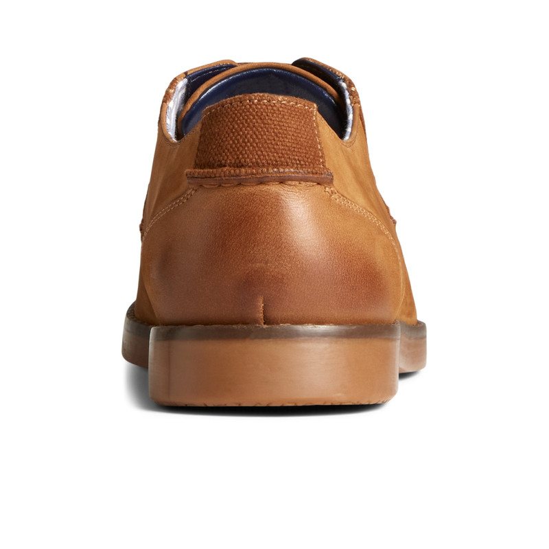 Newman Oxford Dress Shoe 4