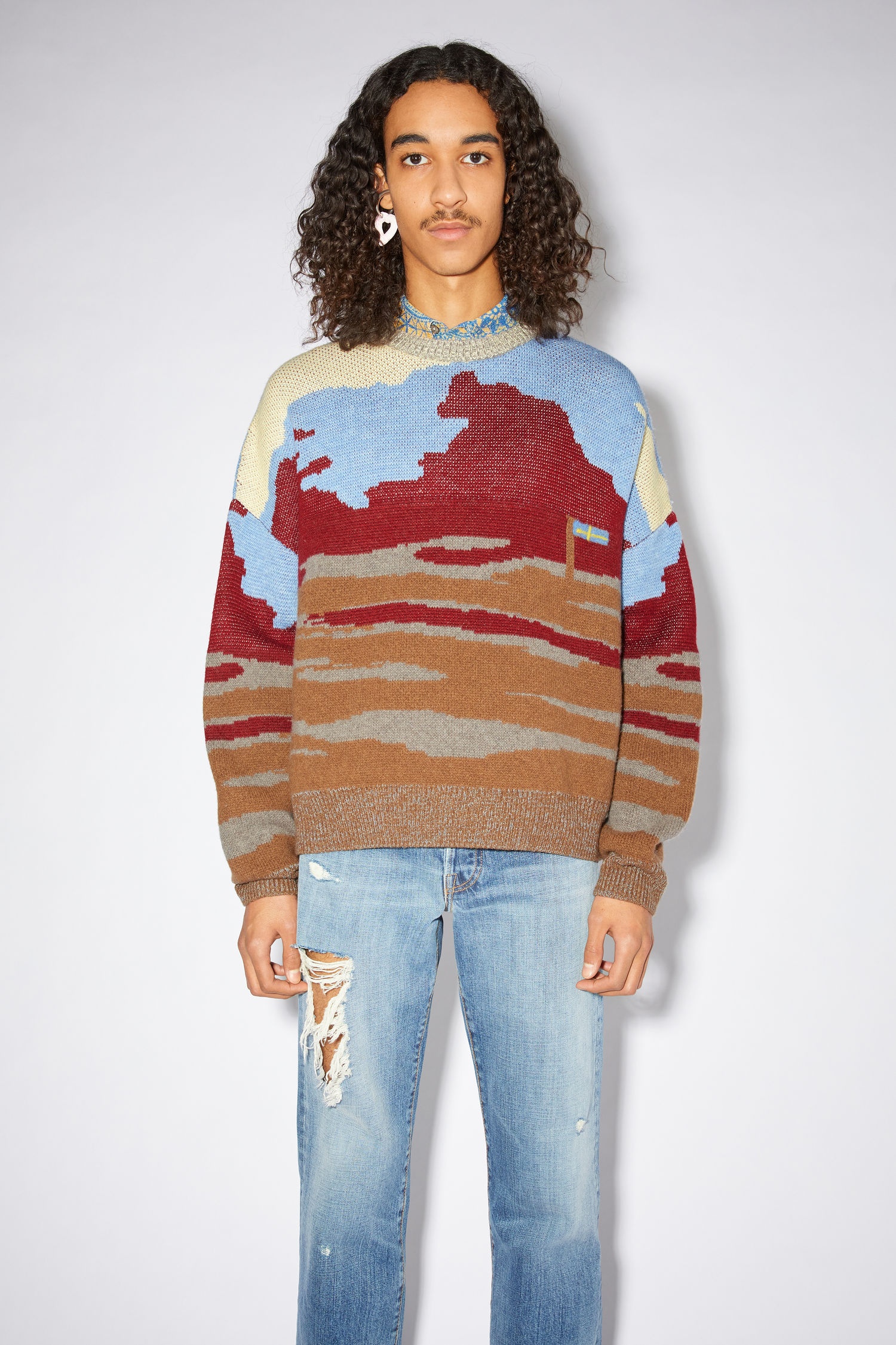 Crew neck sweater - Brown/multi - 2