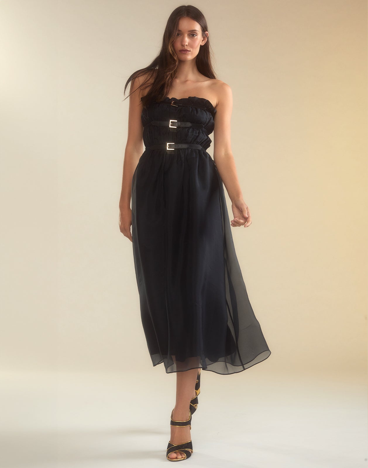 Buckle Up Silk Organza Dress - 2