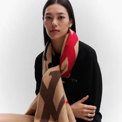 Louis Vuitton The Ultimate Scarf outlook