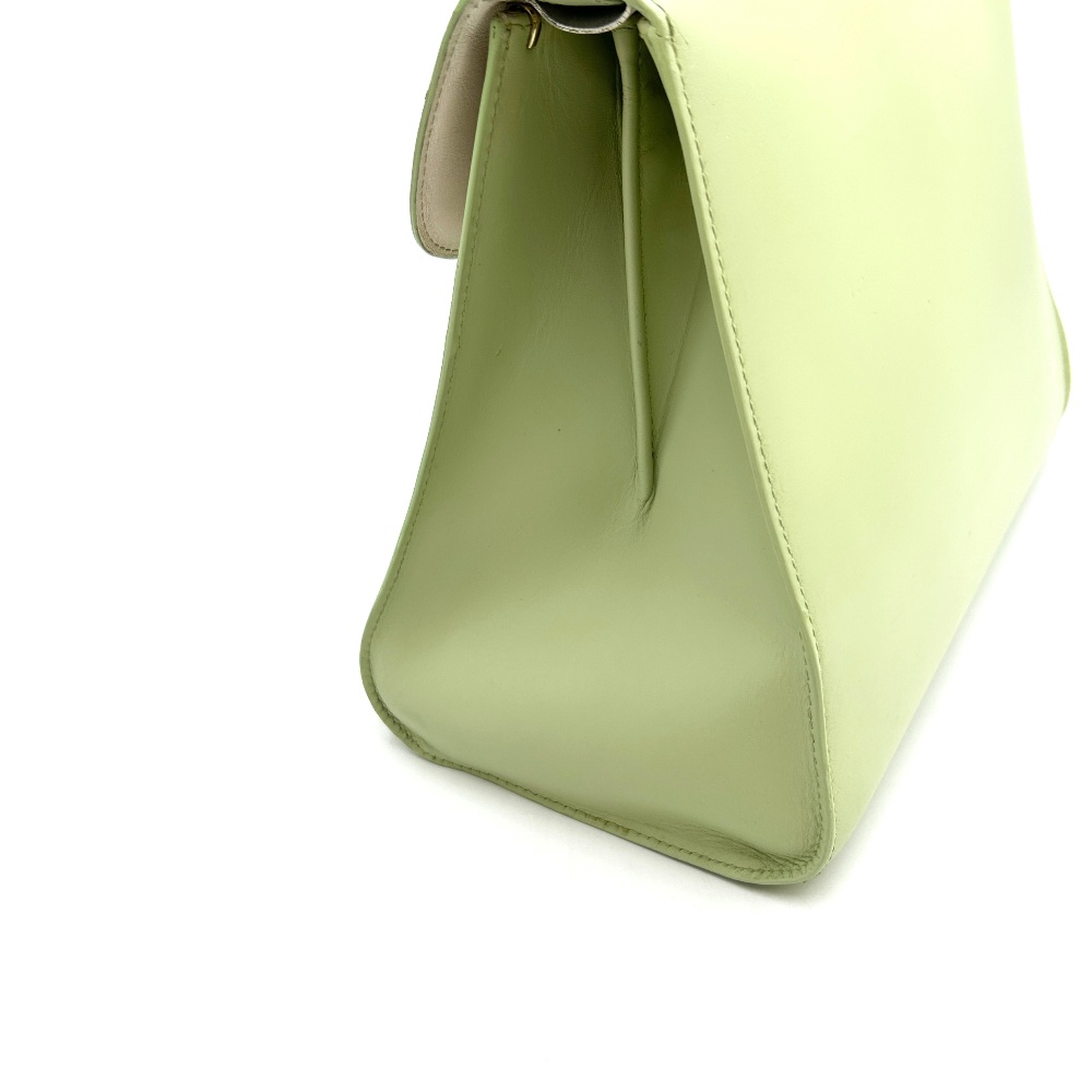 Delvaux - Delvaux Mint Briand MM - 11