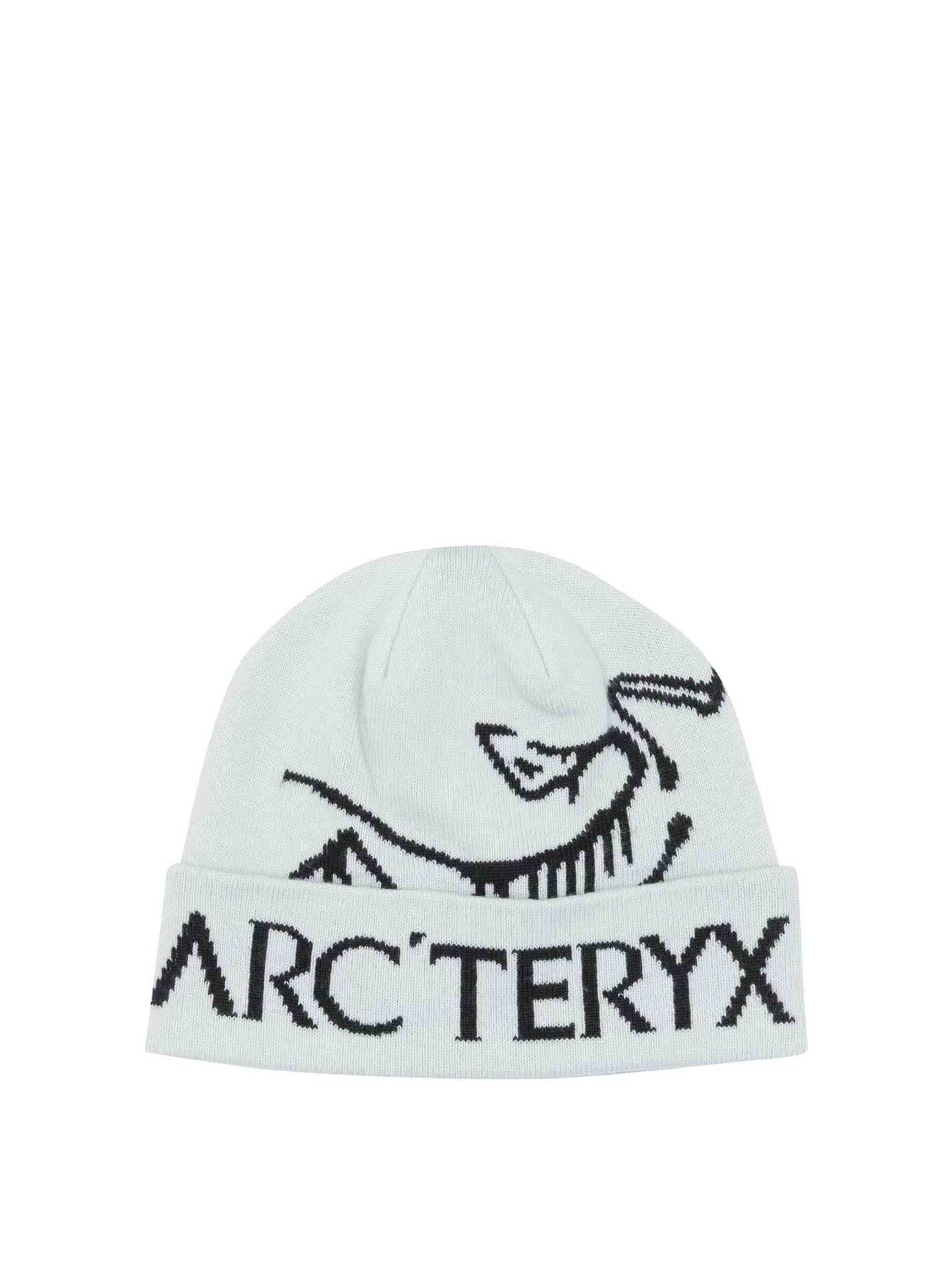 Arc'teryx "bird Word Toque" Beanie - 1