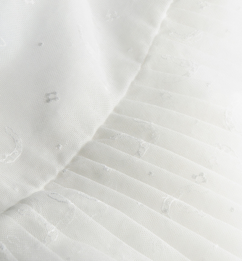 Dior Mid-Length Pleated Embroidered Skirt outlook