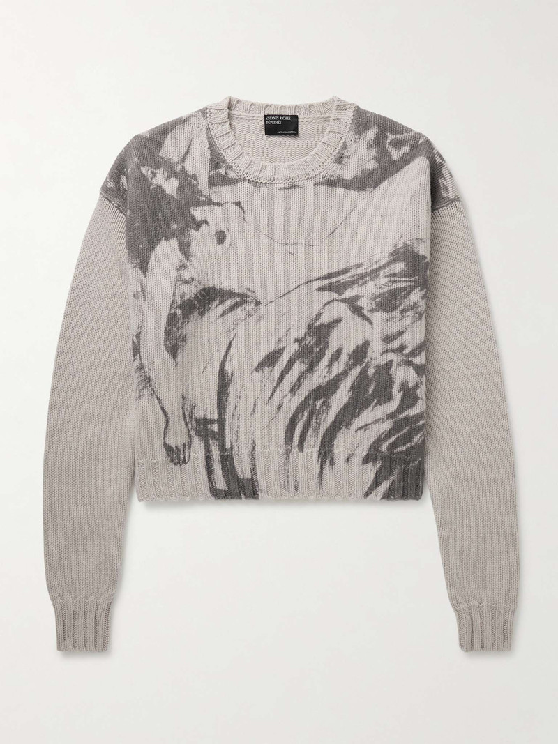 Past in Vain Printed Virgin Wool Sweater - 1