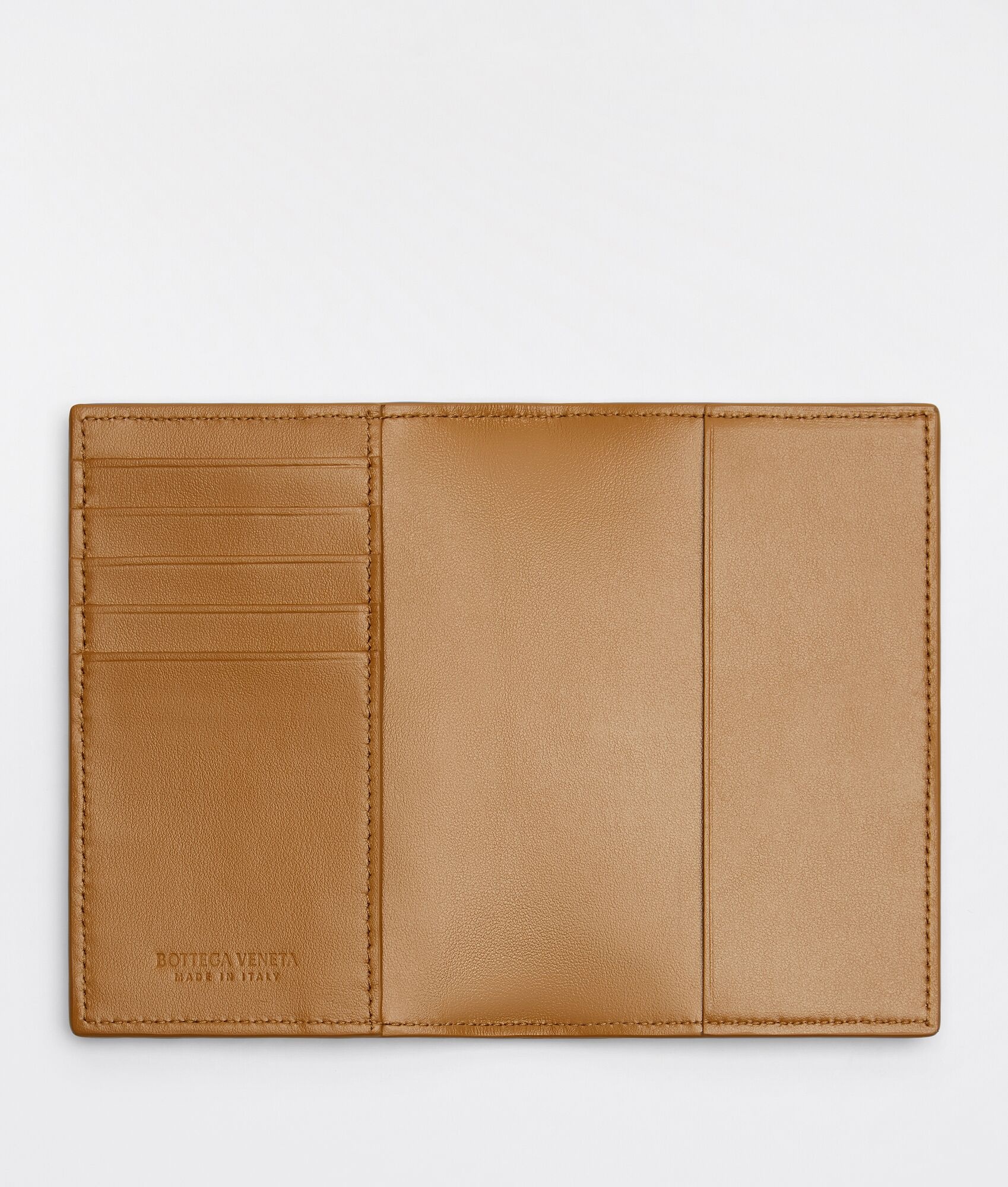 passport case - 2