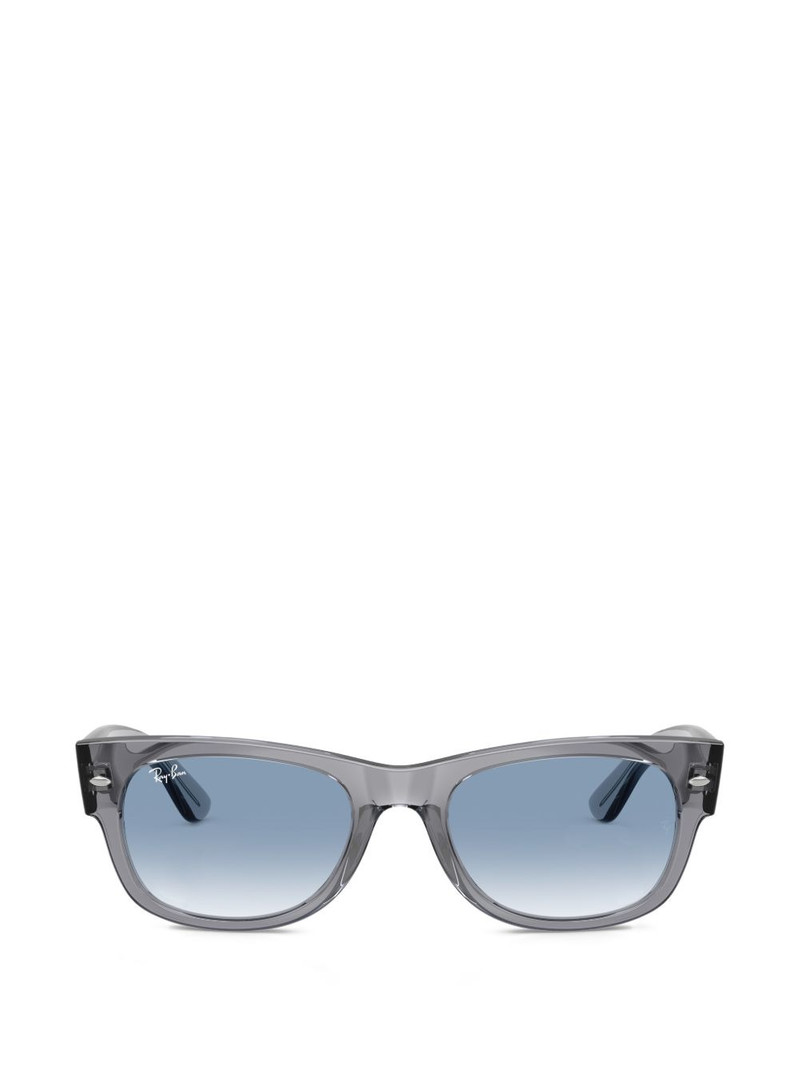 Mega Wayfarer II sunglasses 1
