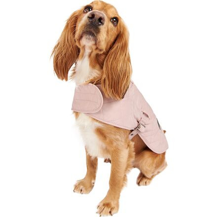 Quilted Dog Coat - 5
