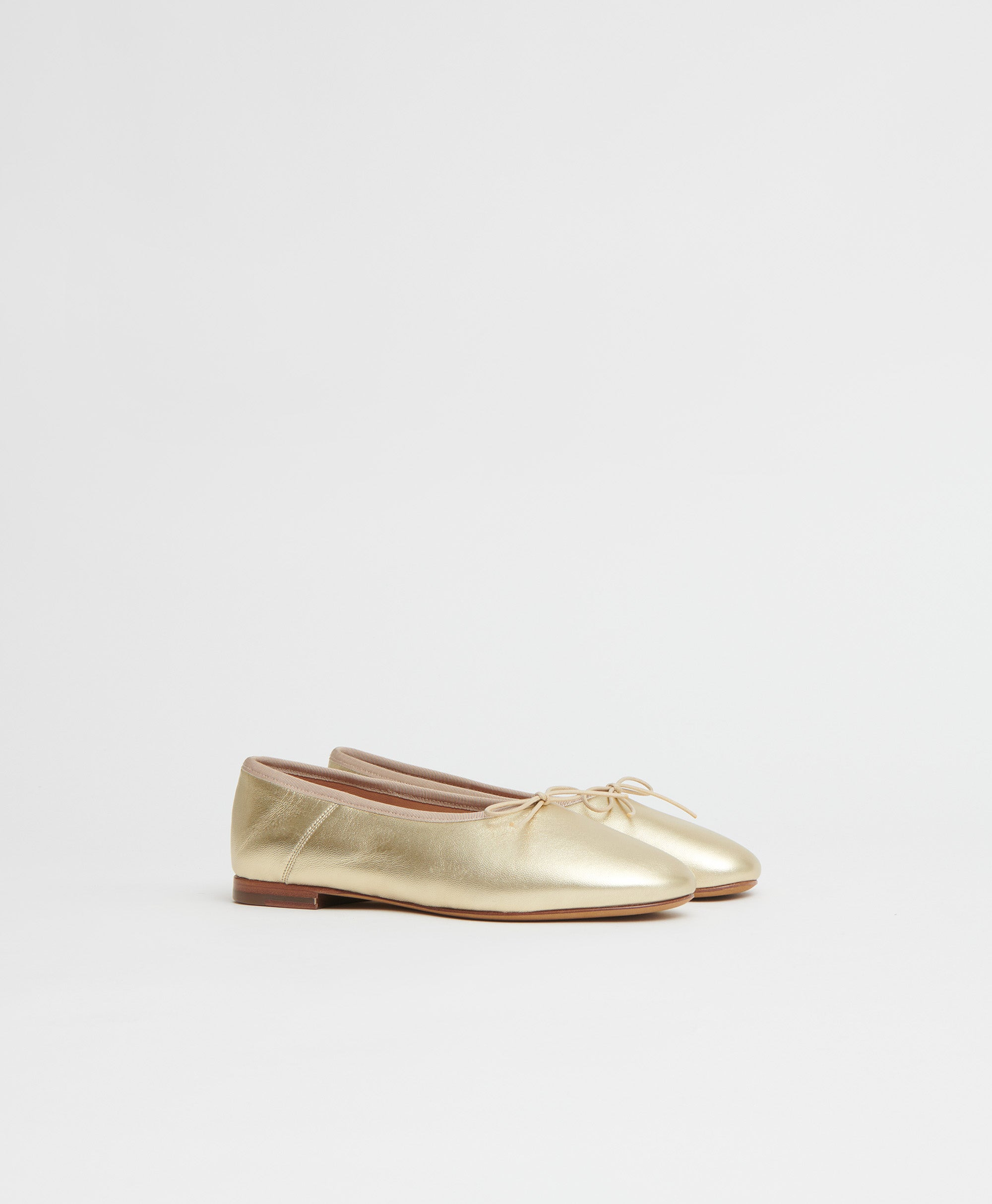 DREAM BALLERINA - 5
