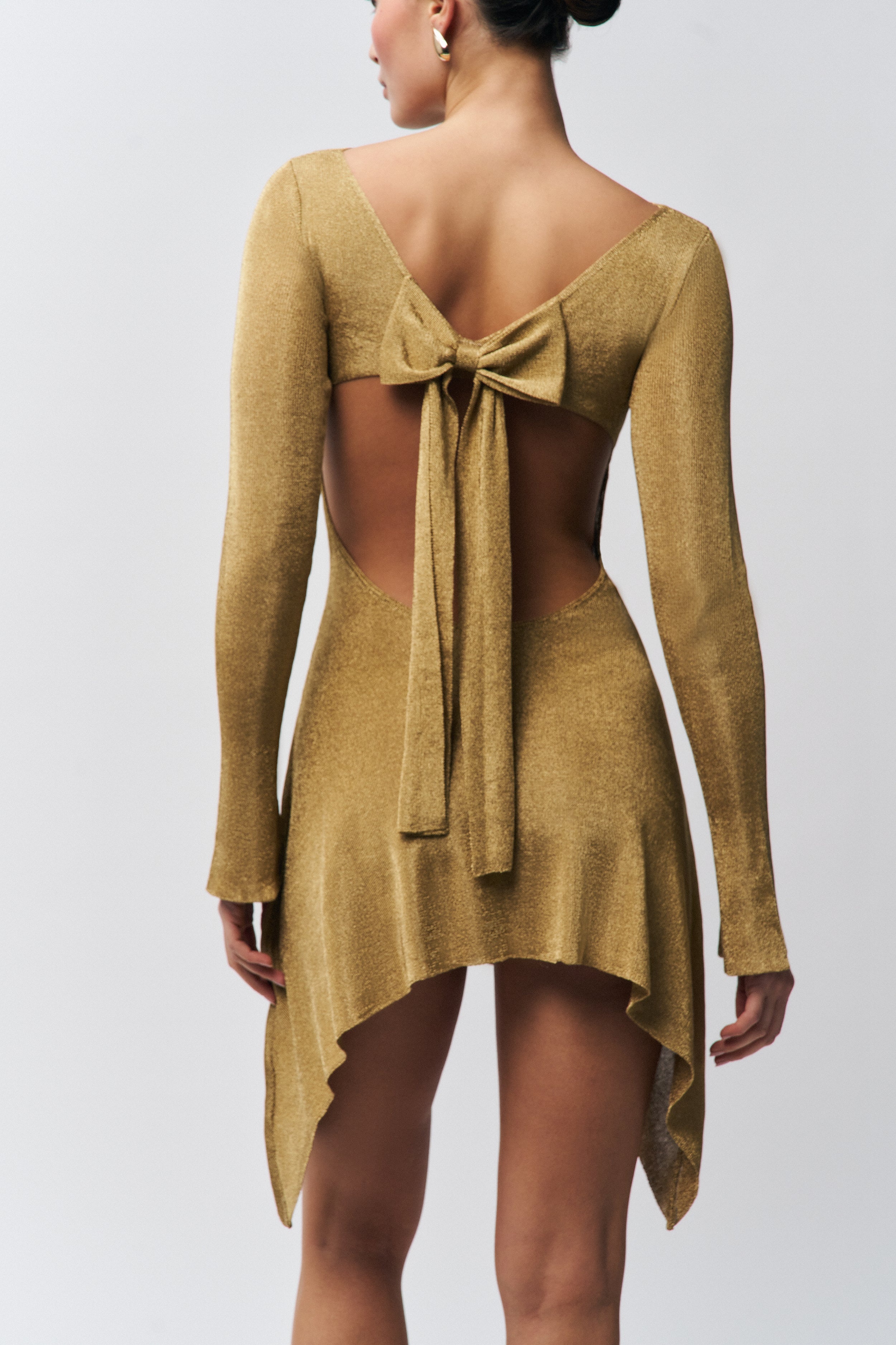 ROSE DRESS - 2