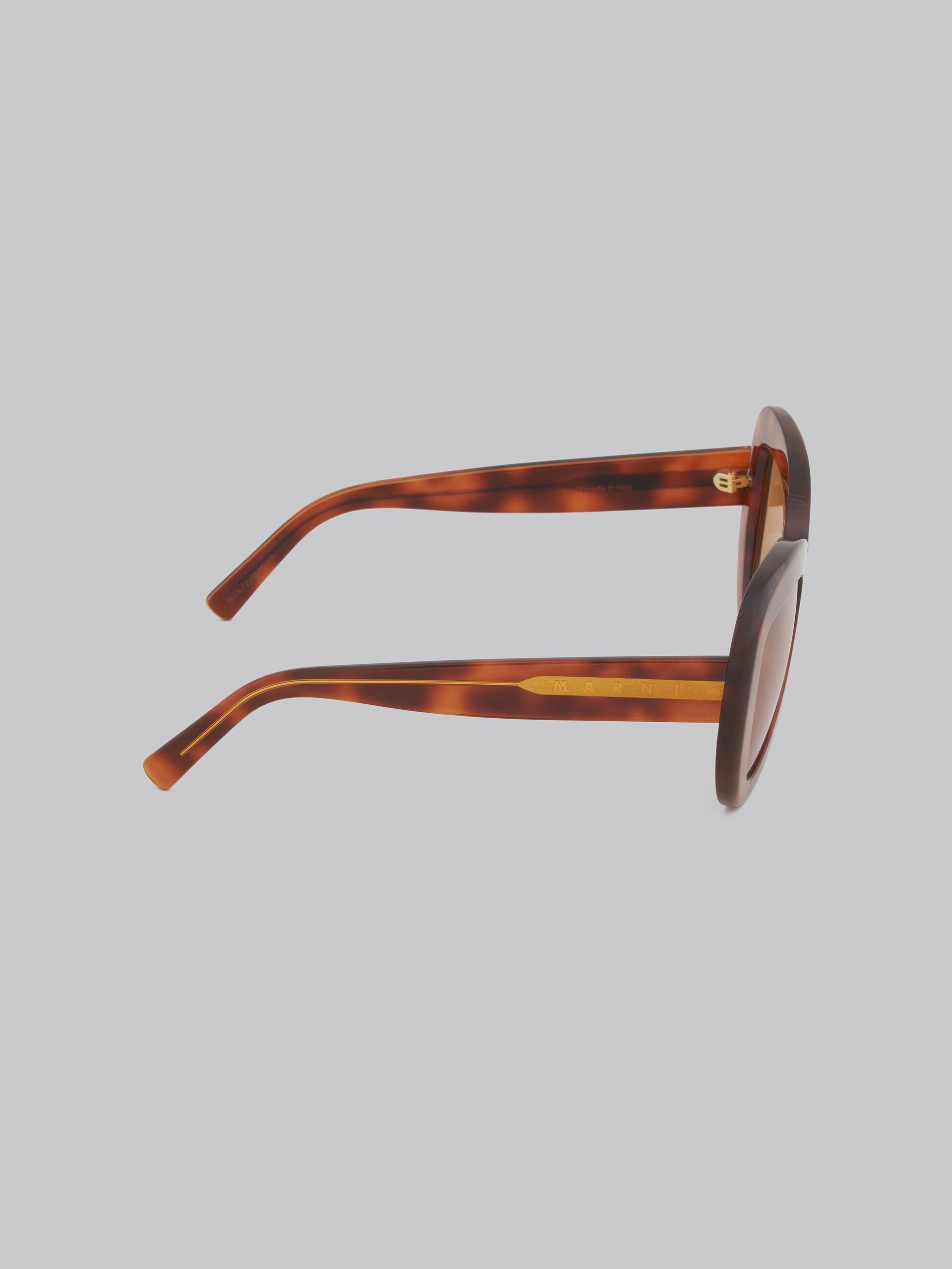 TORTOISESHELL ACETATE ELEPHANT ISLAND SUNGLASSES - 3