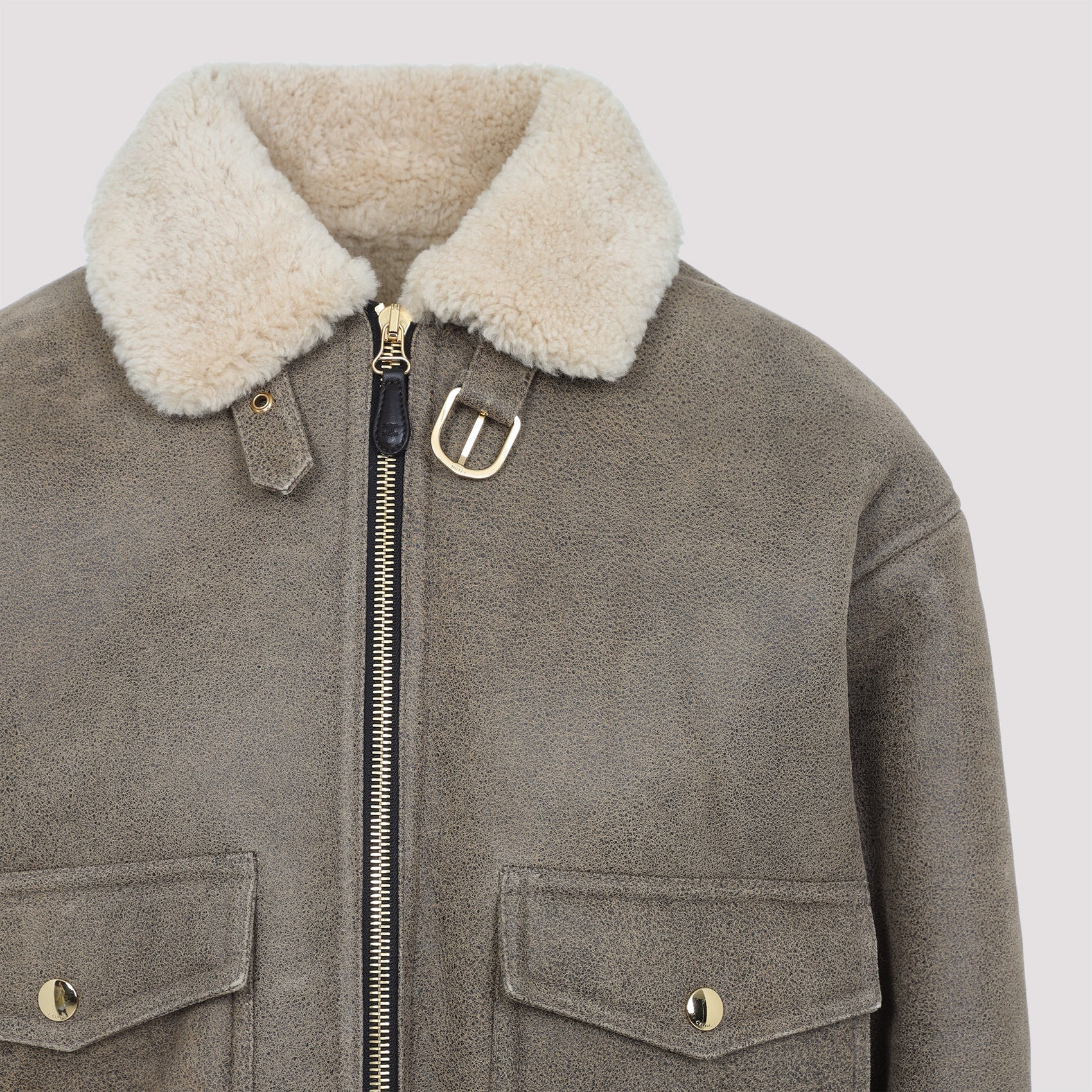 Celine Aviateur Brode Blouson Women - 3