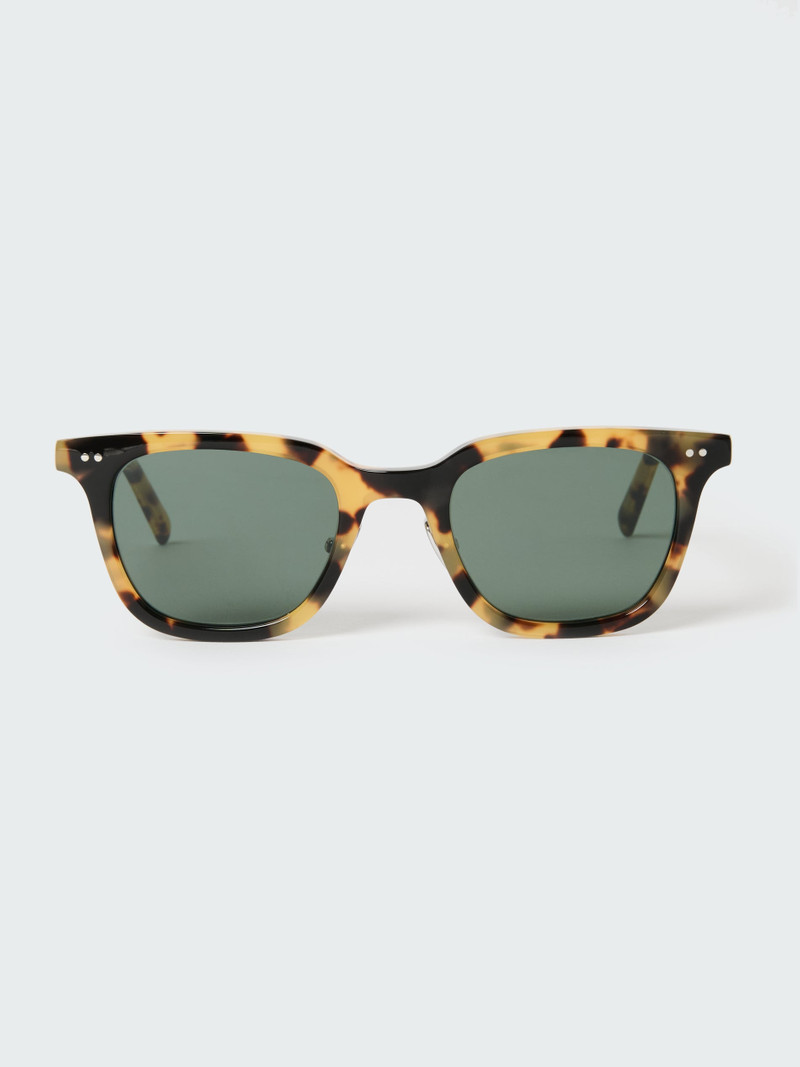 Type 1 Sunglasses 1