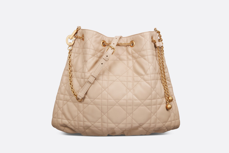 Large Dior Ammi Bag 1