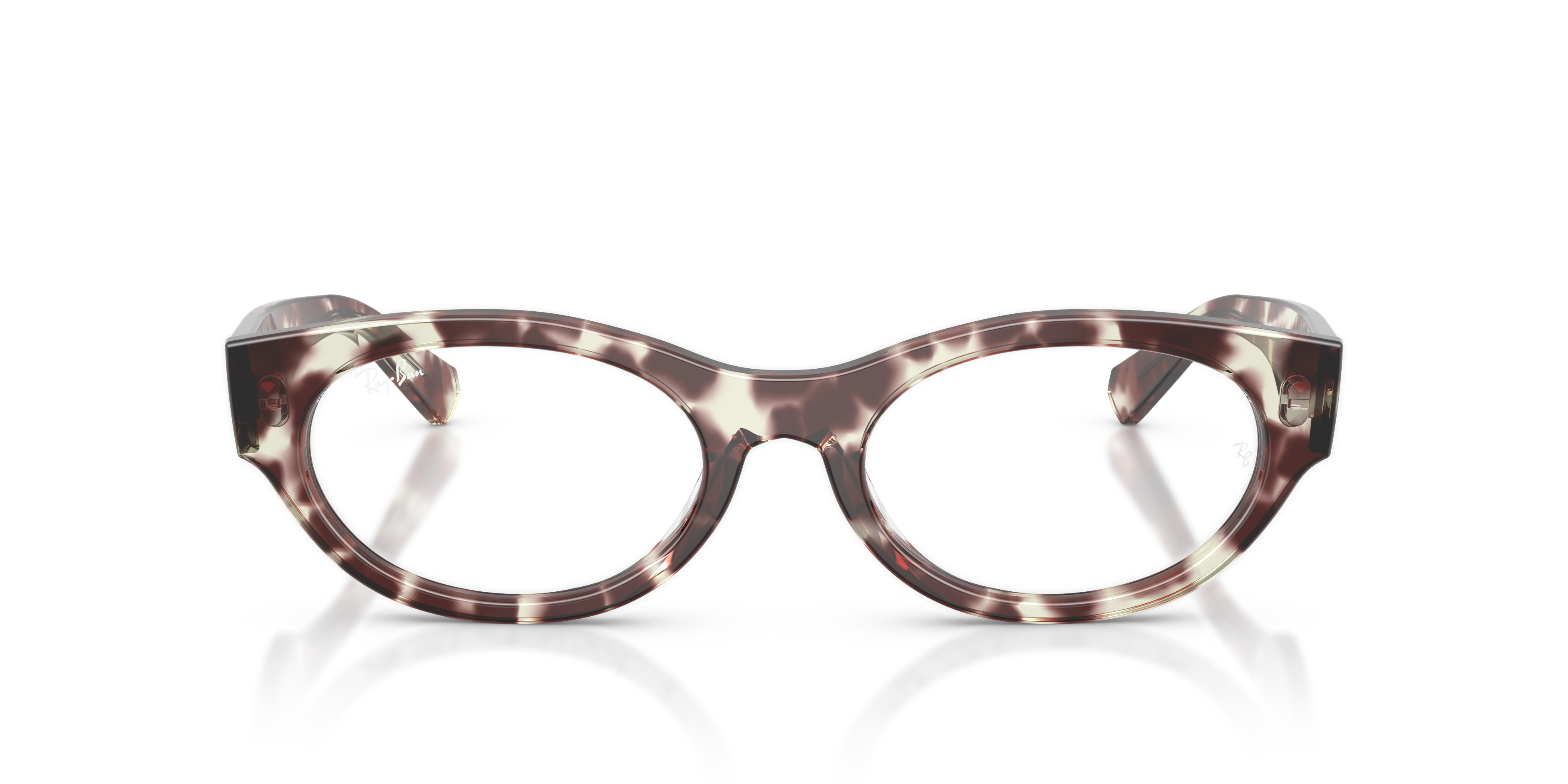 RB5447 OPTICS - 4