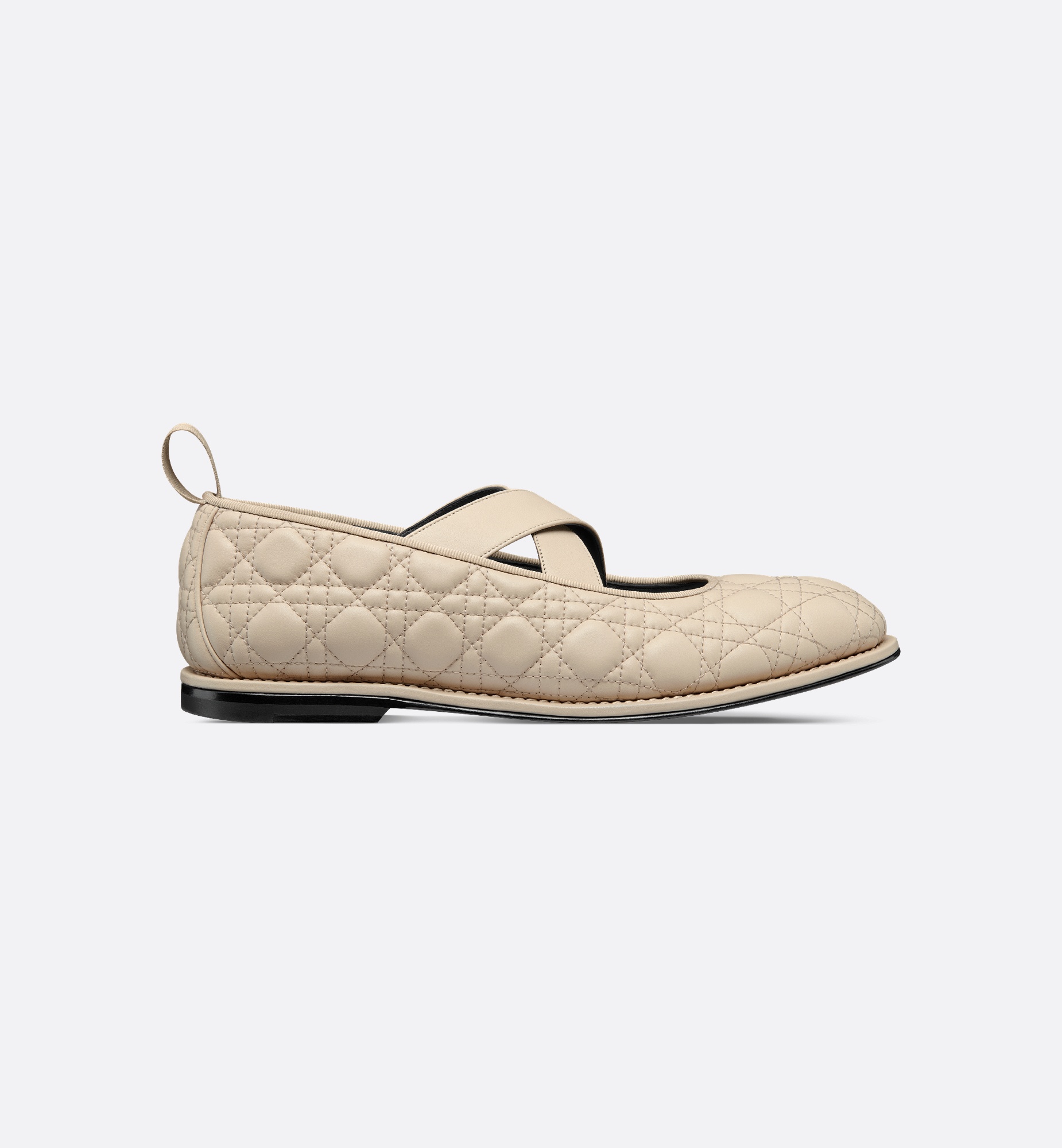 Dior Tendu Ballet Flat - 1