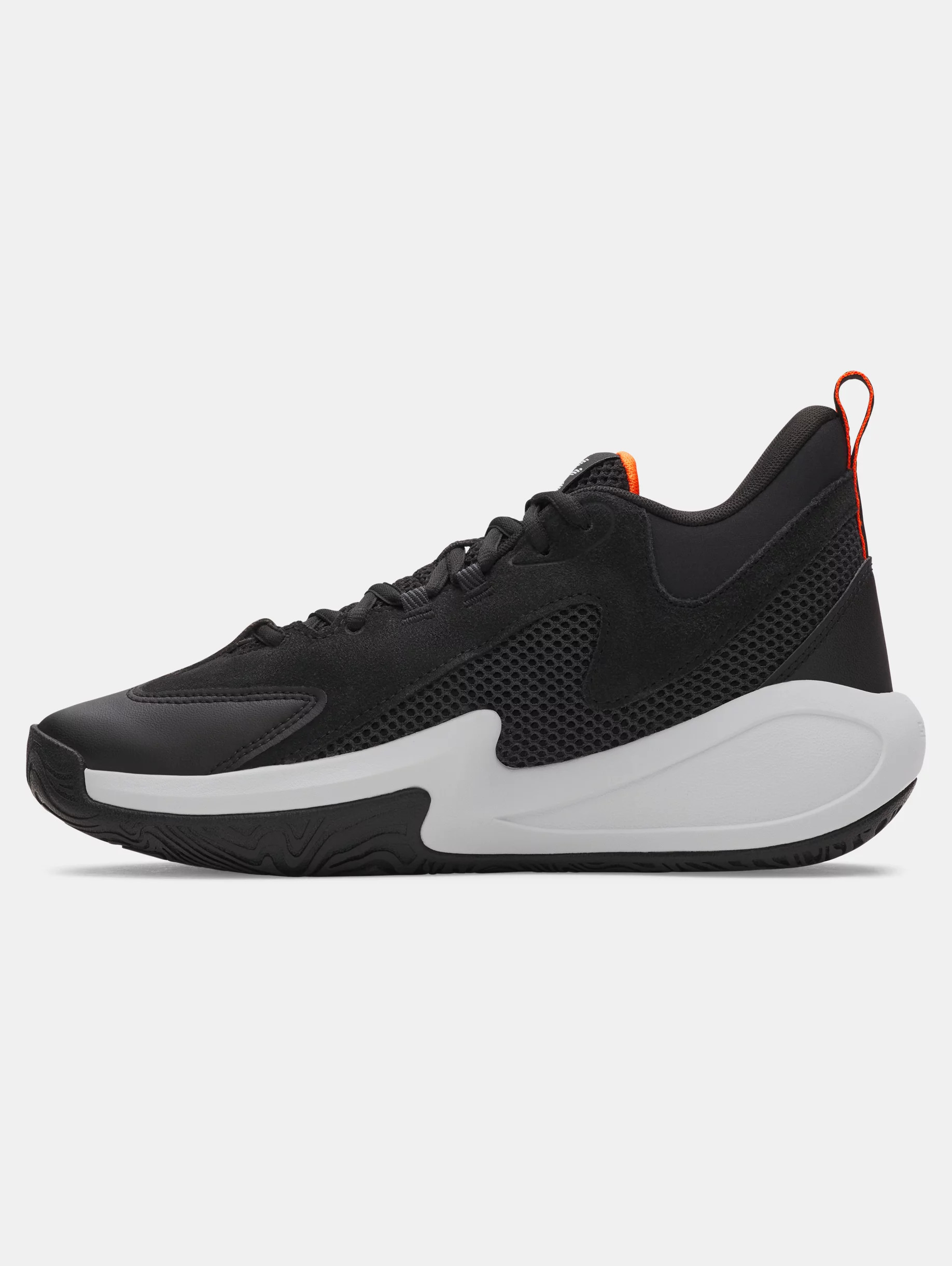 Curry 3Z 25 SDE - 2