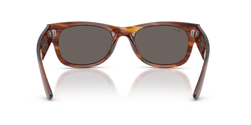 MEGA WAYFARER II 6