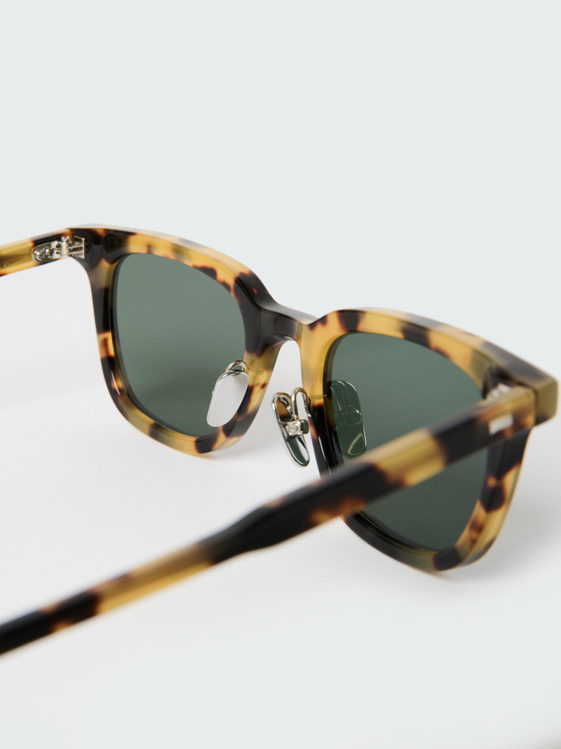 Type 1 Sunglasses 4