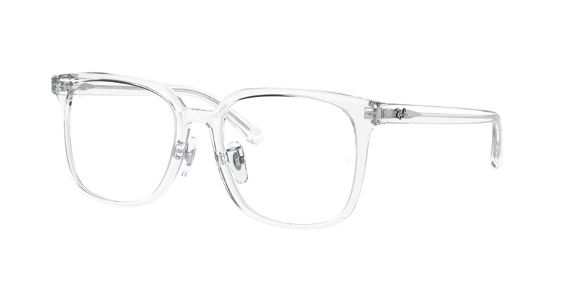 RB5419 OPTICS 3