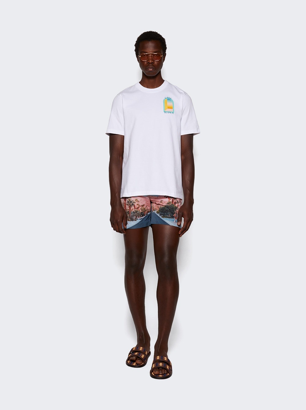 X The Webster Bulldog Swim Shorts Palm Springs - 2