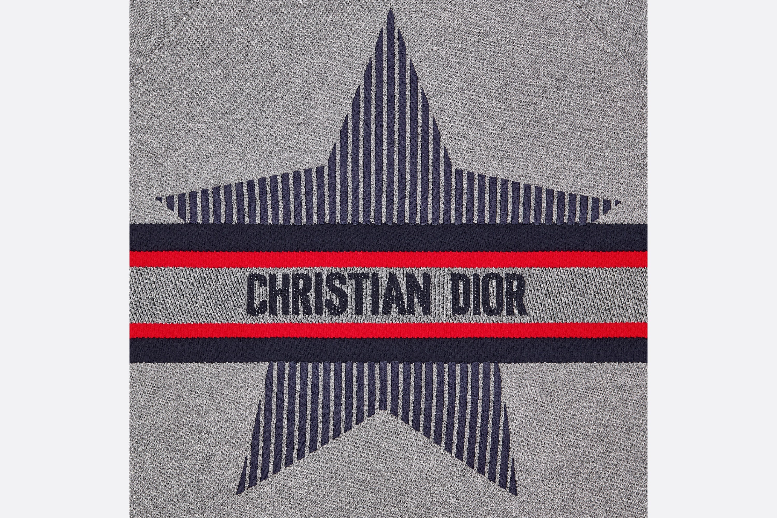 DiorAlps Short-Sleeved Hooded Sweatshirt - 3
