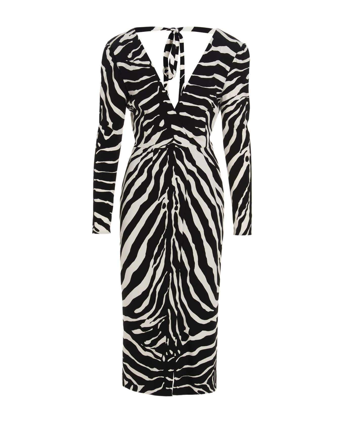 Zebra Dress - 1