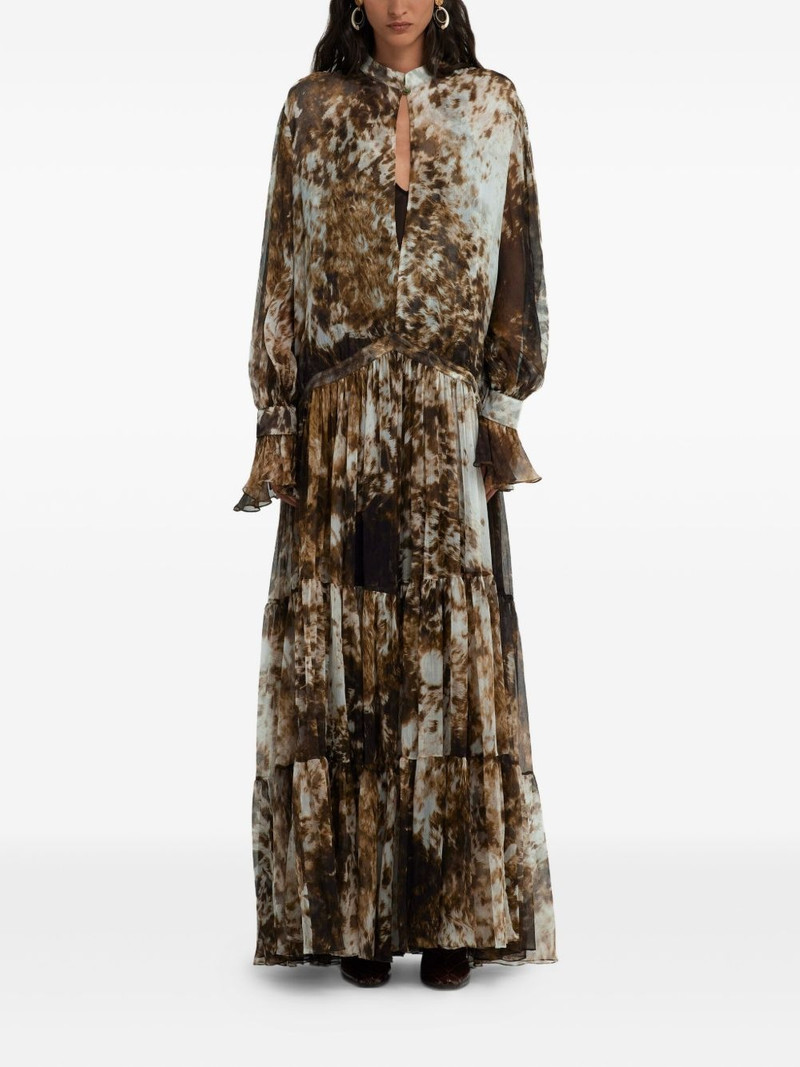 Roberto Cavalli Appaloosa-print maxi dress outlook