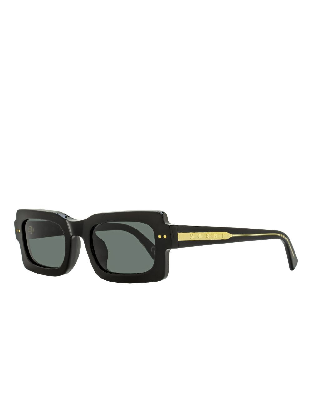 Lake Vostok sunglasses - 2