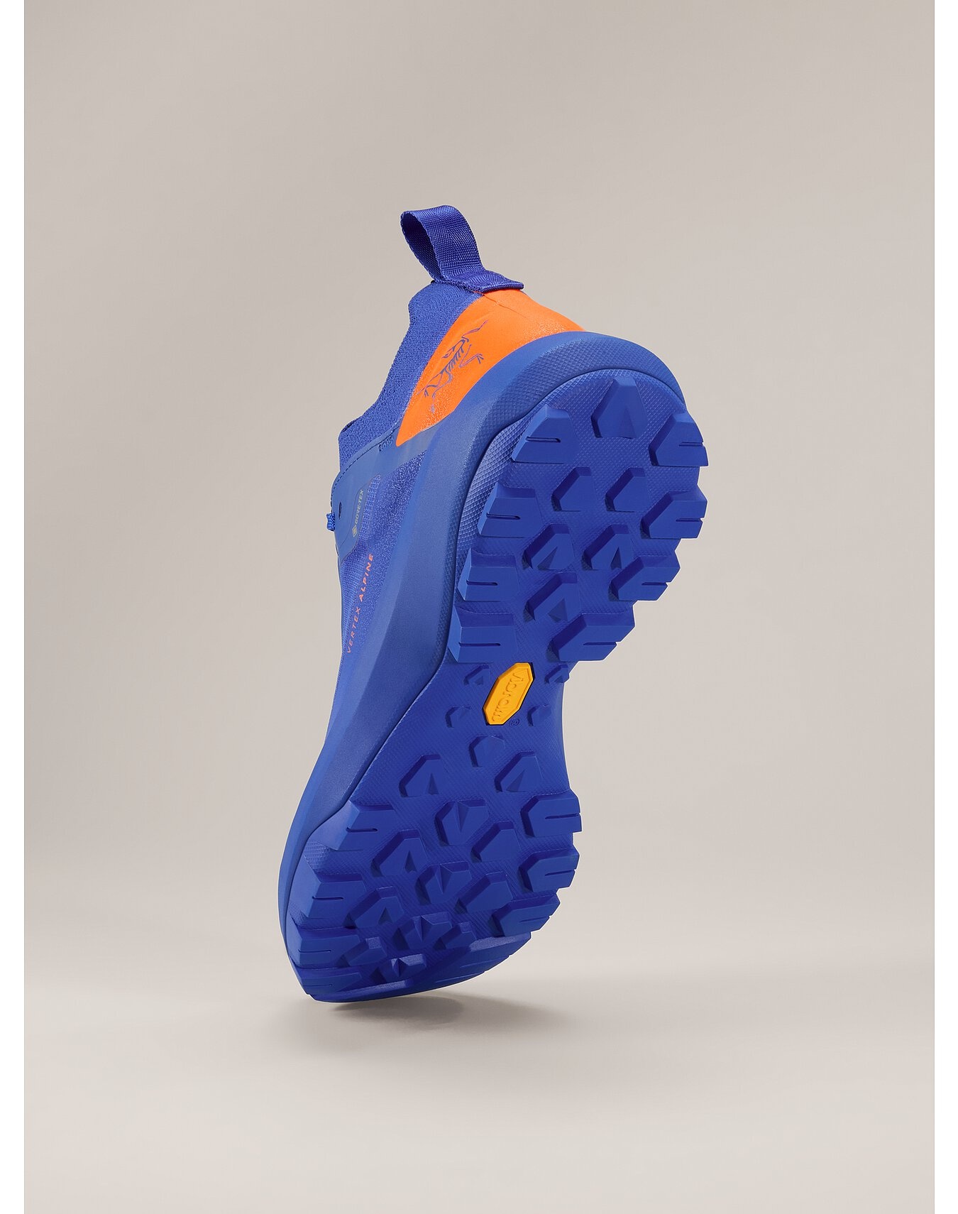 Vertex Alpine GTX Shoe - 4