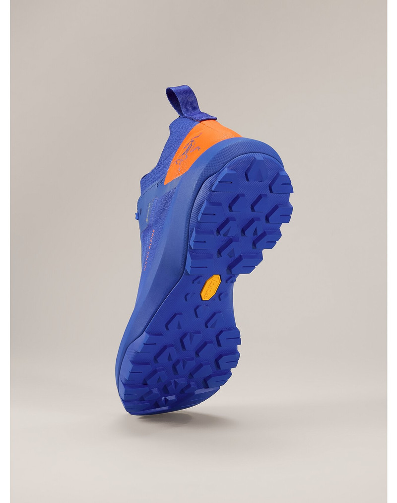 Vertex Alpine GTX Shoe 4