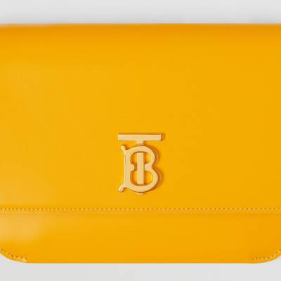 Burberry Mini Leather Flat TB Bag outlook