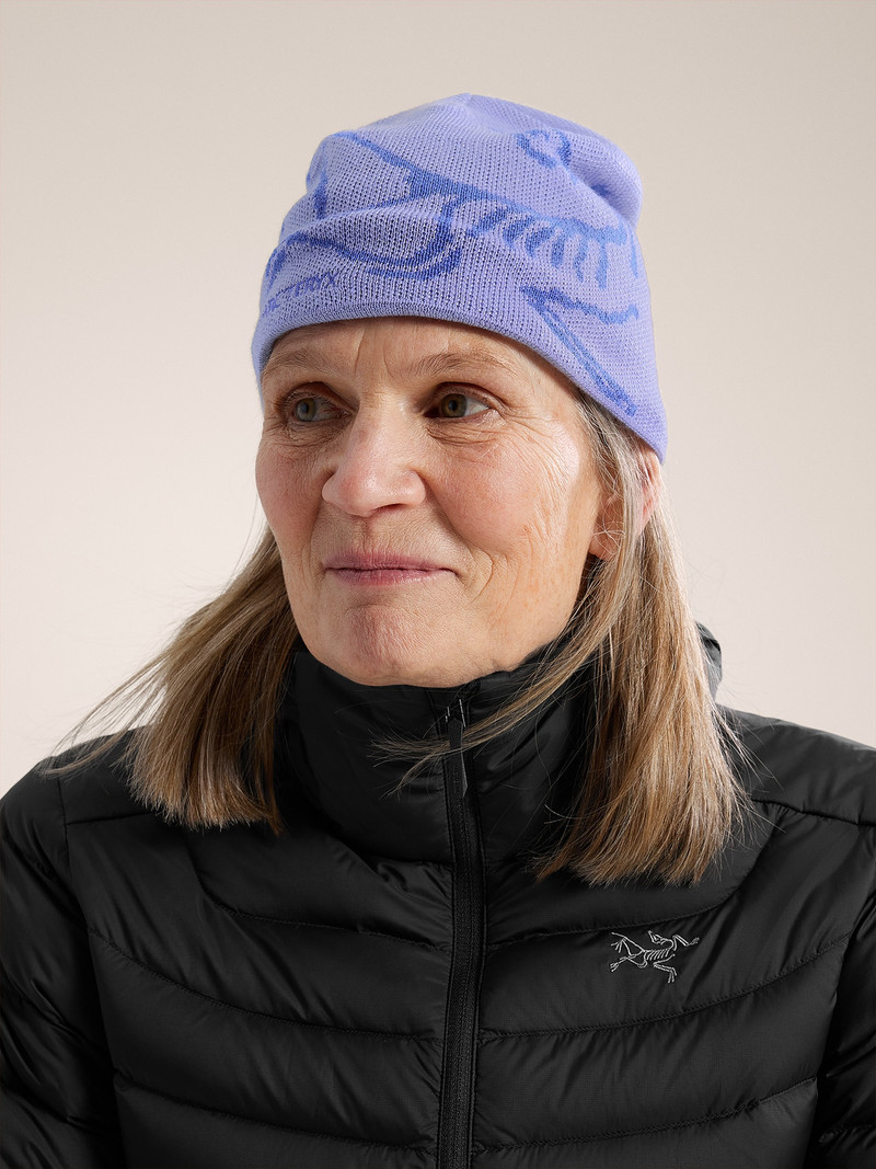 Arc'teryx Bird Head Toque outlook