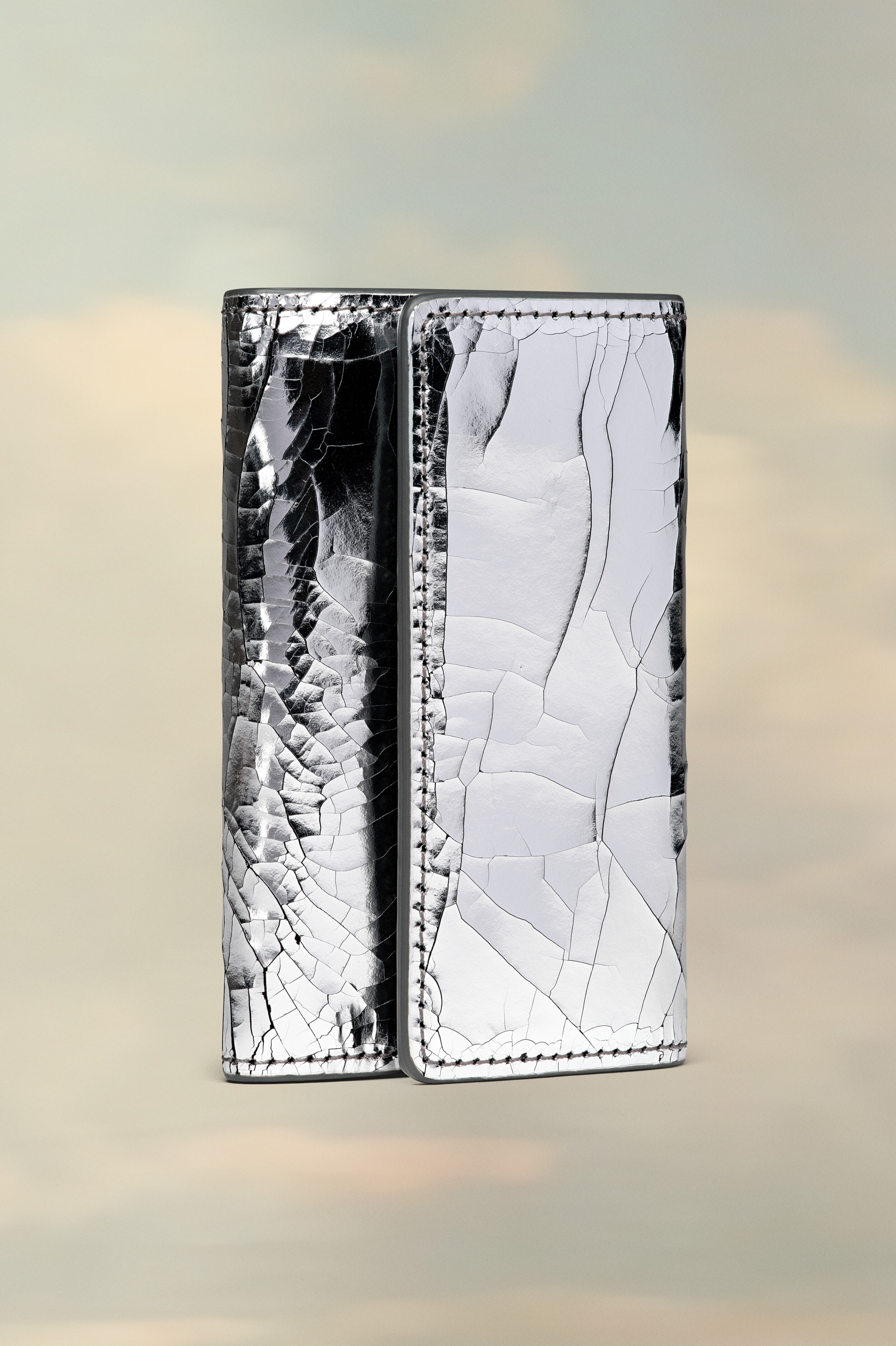 Mirror Clip Wallet - 1