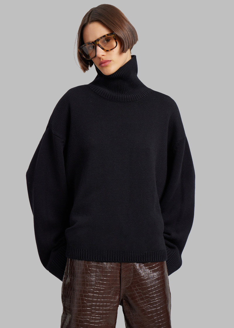 Rhea Trapeze Turtleneck - Black 12