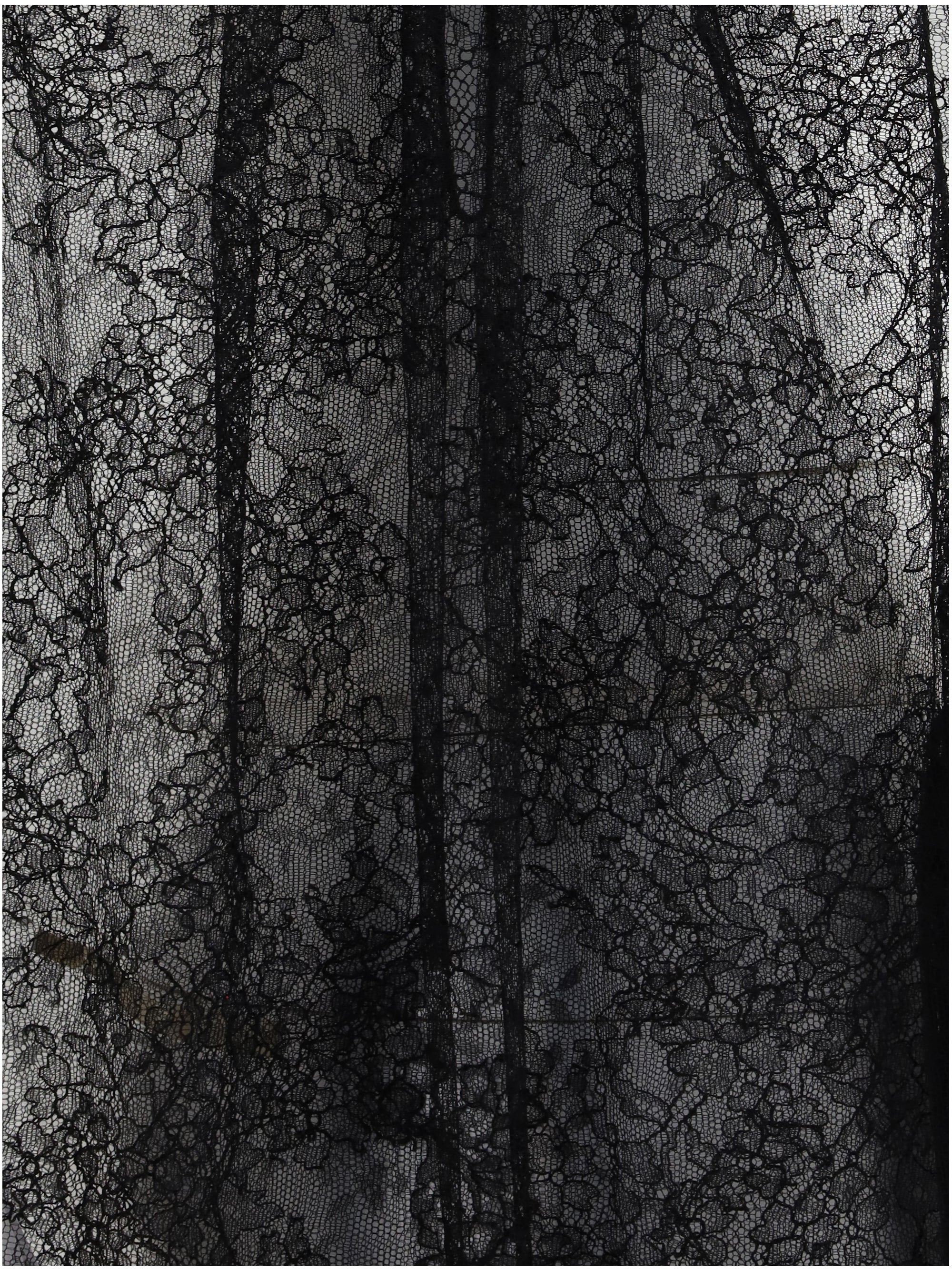 Alexander Mcqueen Women Sleeveless Black Lace Top - 3