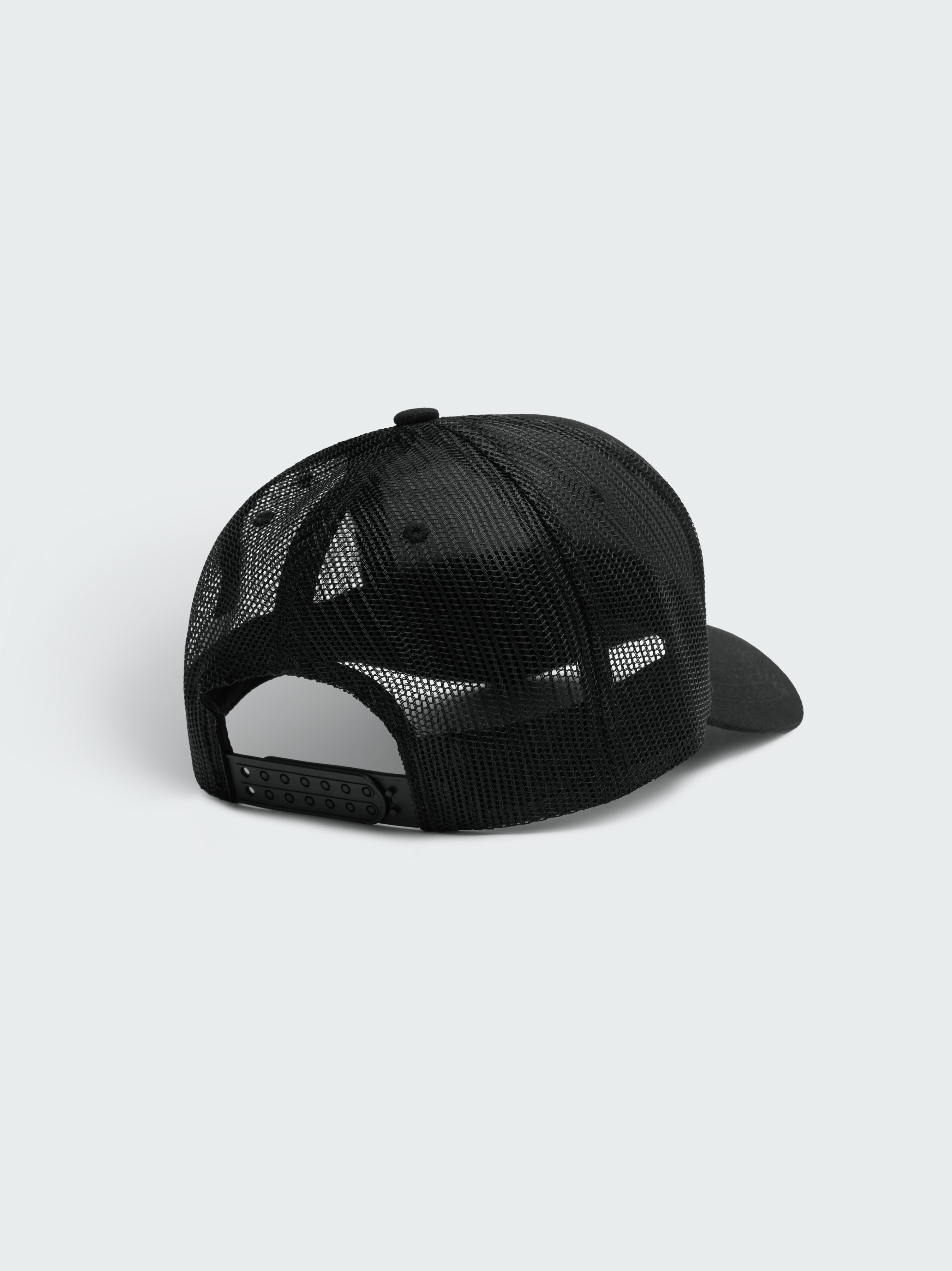 PEGASUS TRUCKER - 3