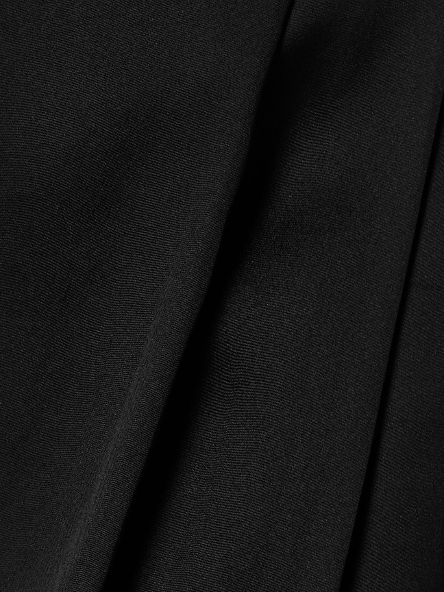 Lucian pleated silk-organza maxi skirt Black - 5