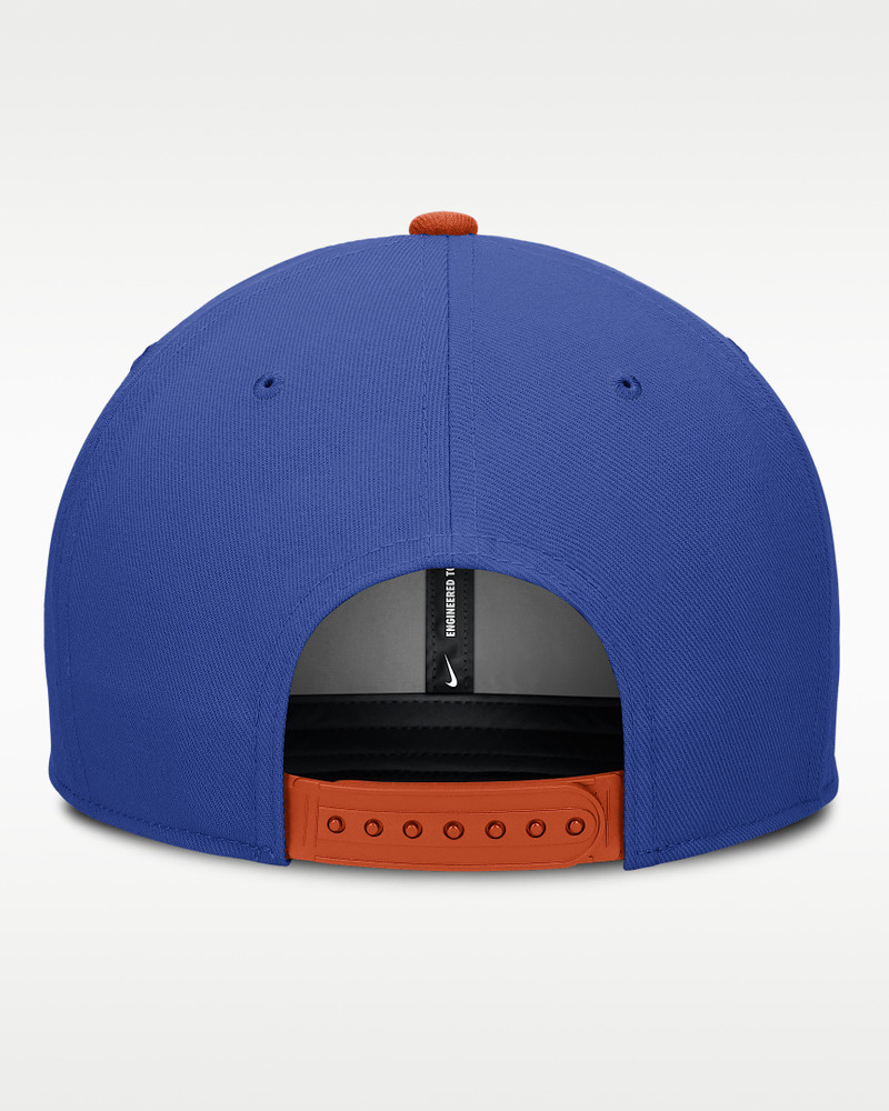 Nike Florida Legacy Script Men's Nike Dri-FIT College Adjustable Hat outlook