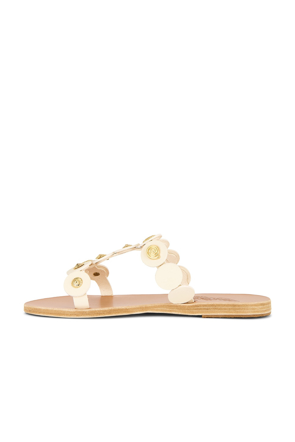 Daryl Sandal - 5