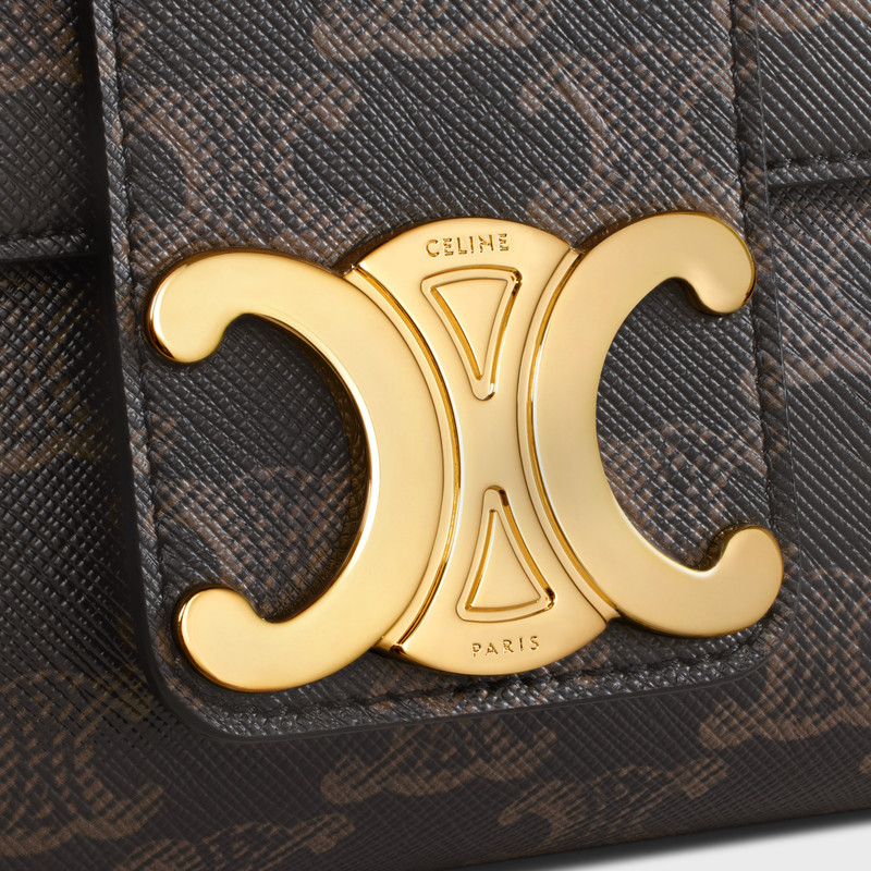 Medium Celine Victoire Bag in Triomphe Canvas 4