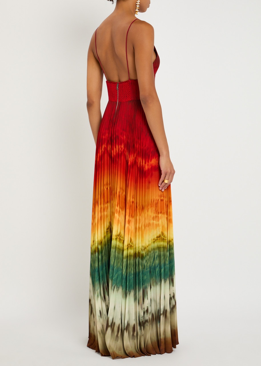 Alice + Olivia Lauren Printed Chiffon Maxi Dress - 3