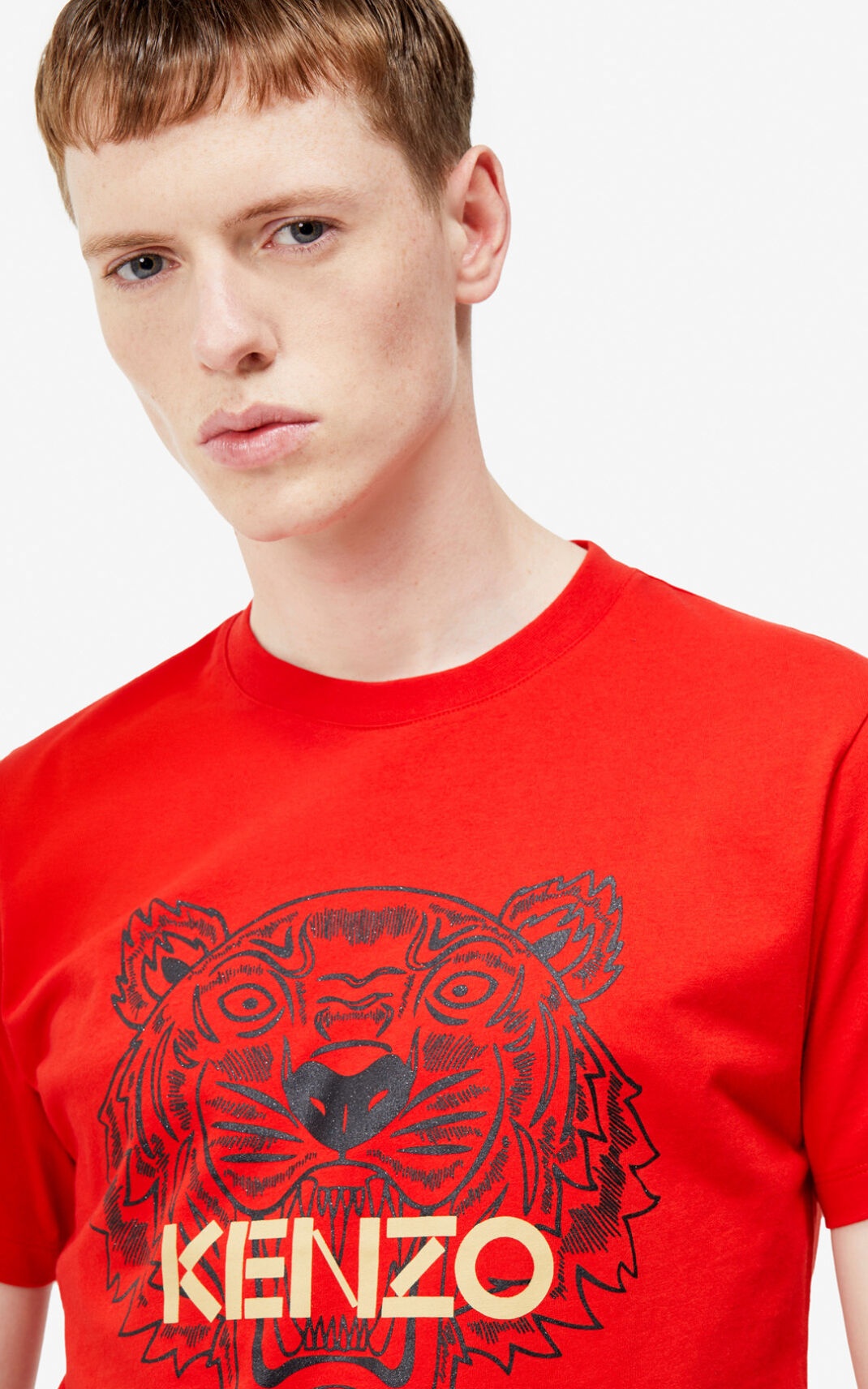 Tiger t-shirt - 5