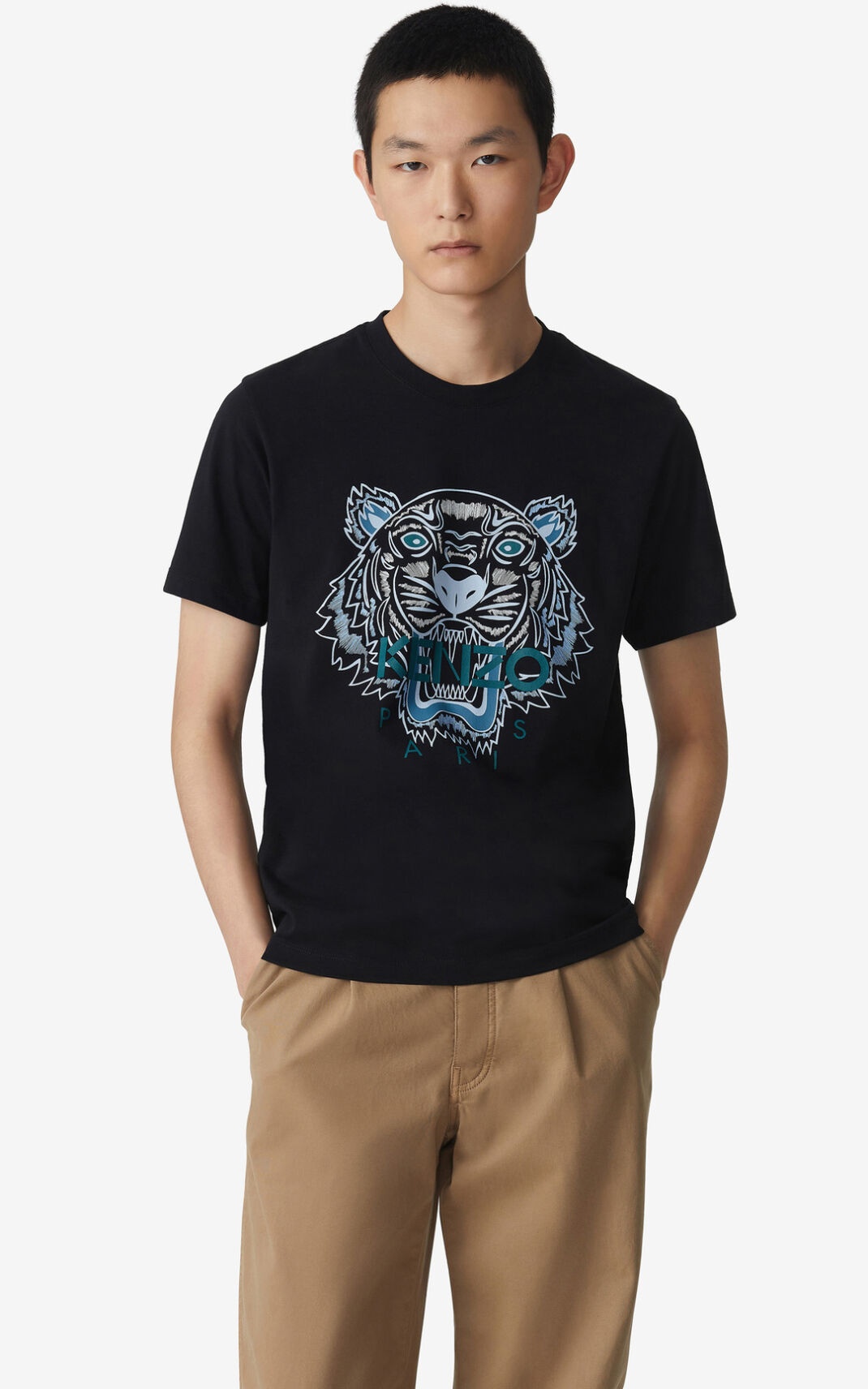 Tiger t-shirt - 2