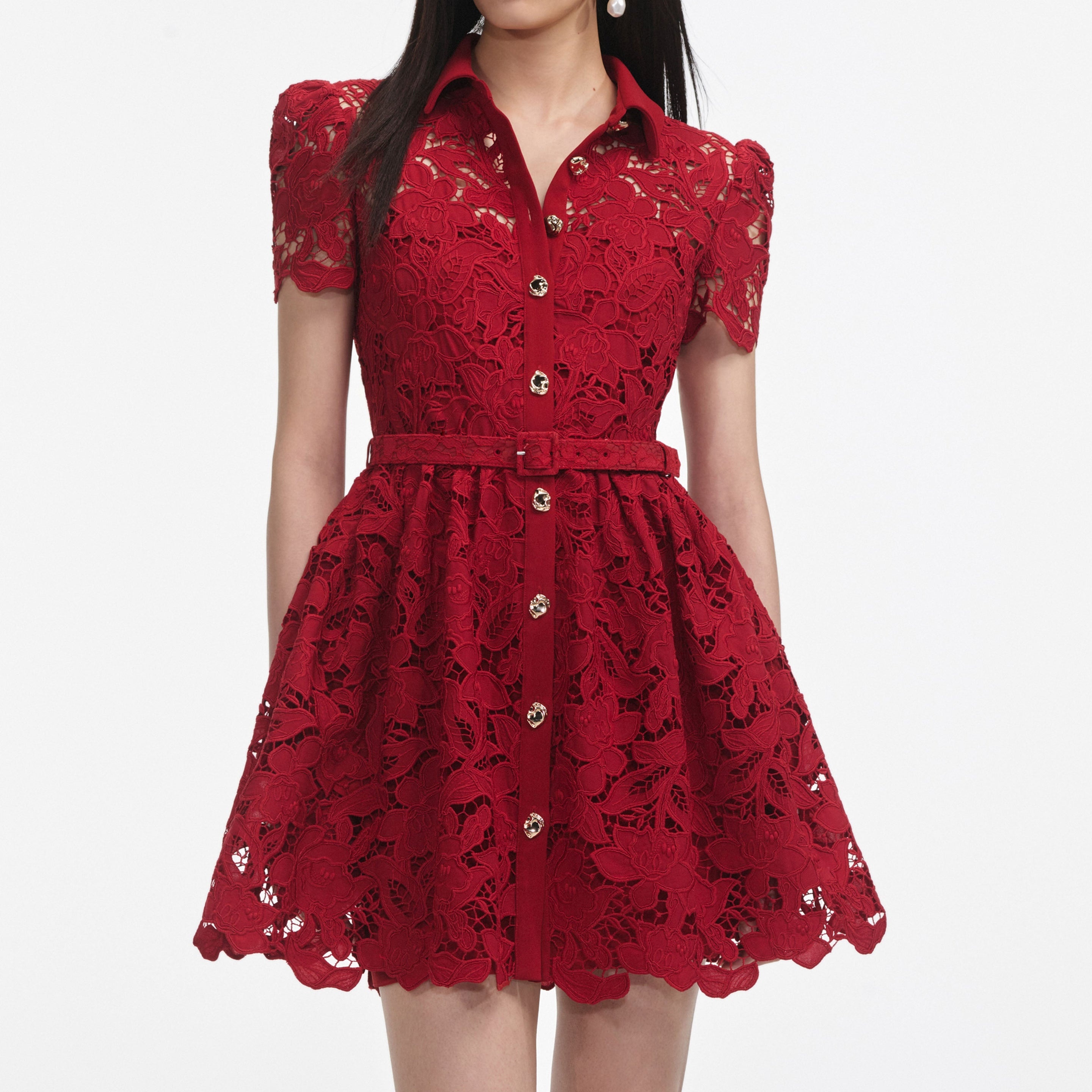 Burgundy Lace Collared Mini Dress - 4