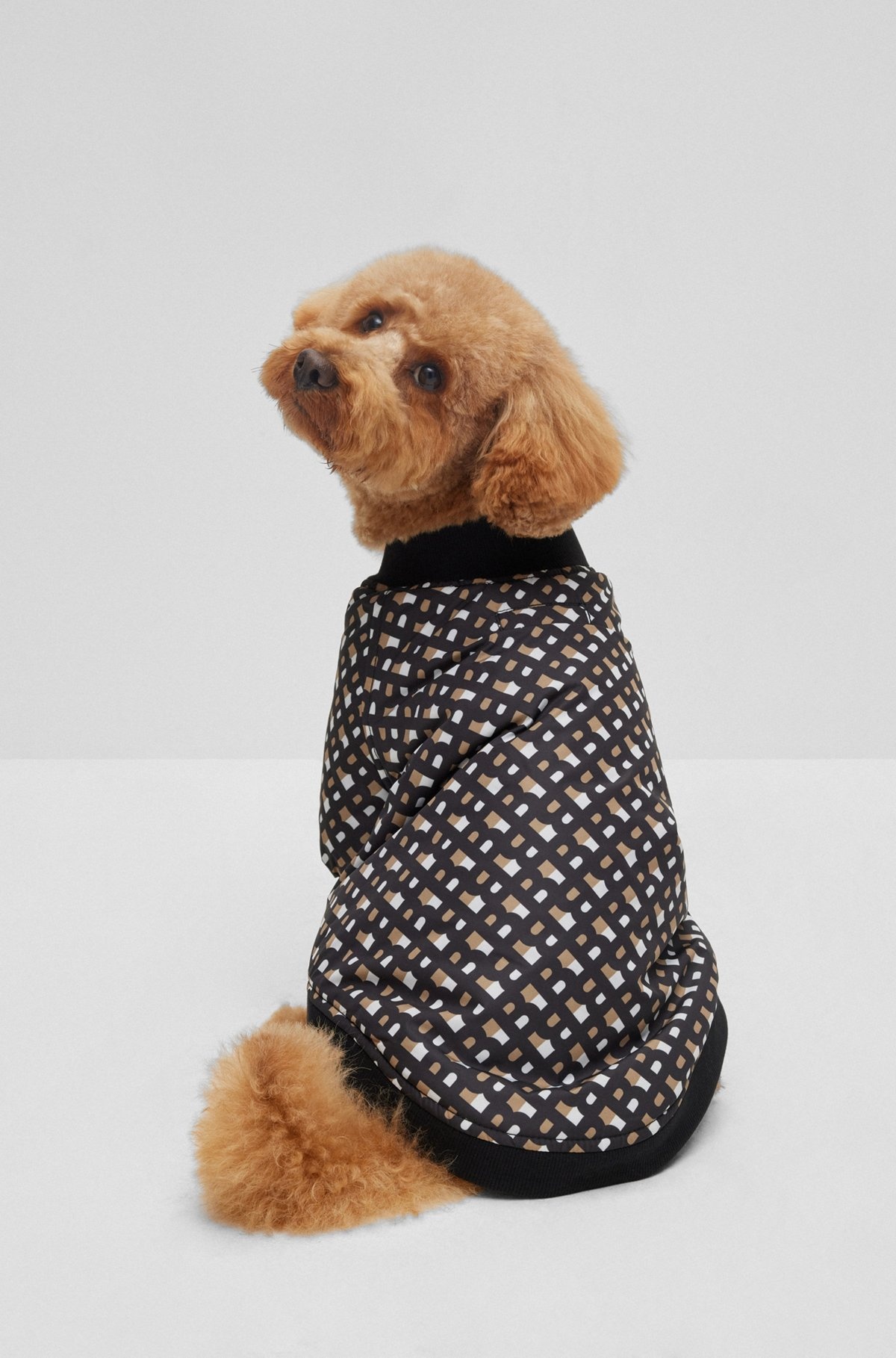 DOG BOMBER JACKET - 6