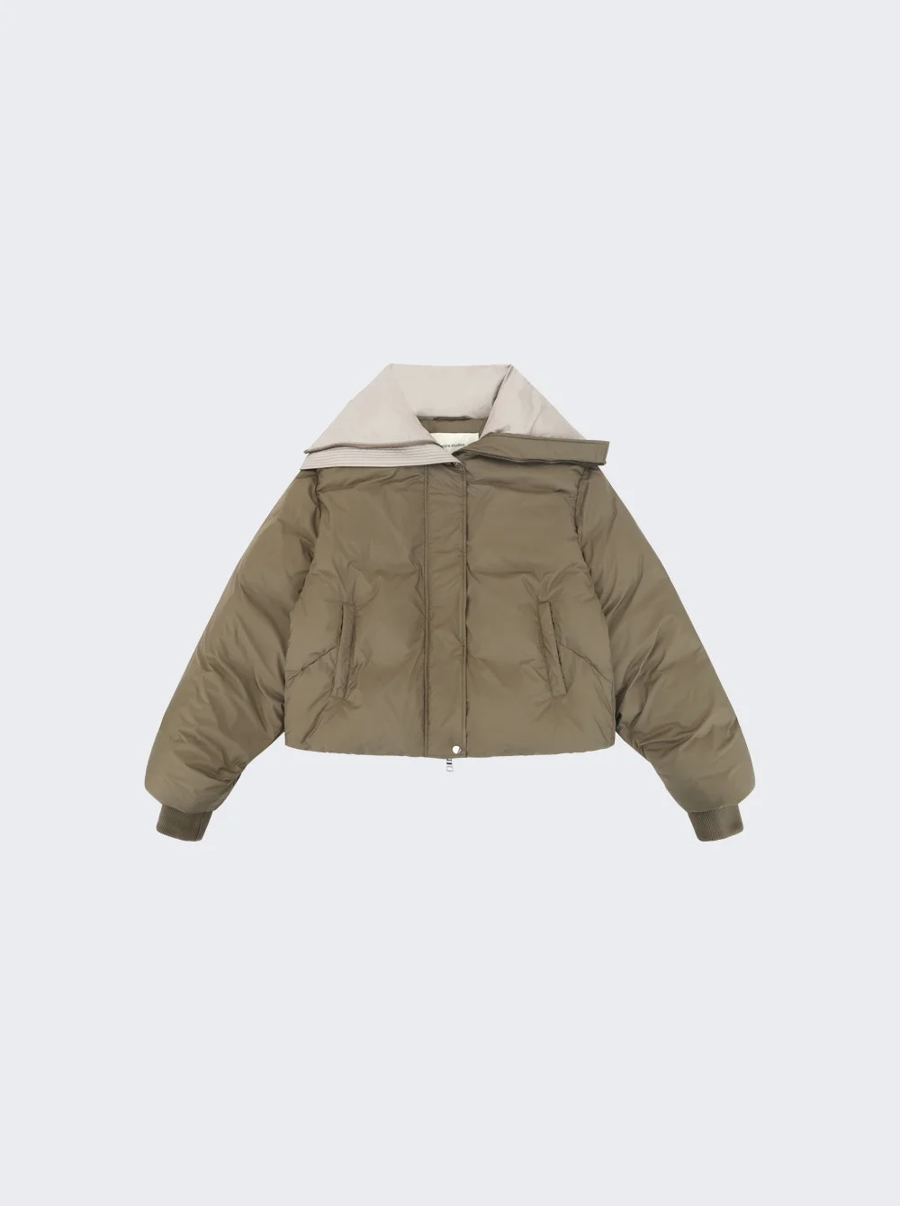 Kelly Jacket Fossil - 1