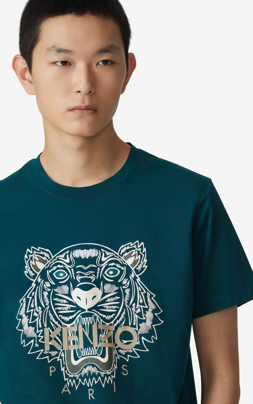 Tiger t-shirt - 3