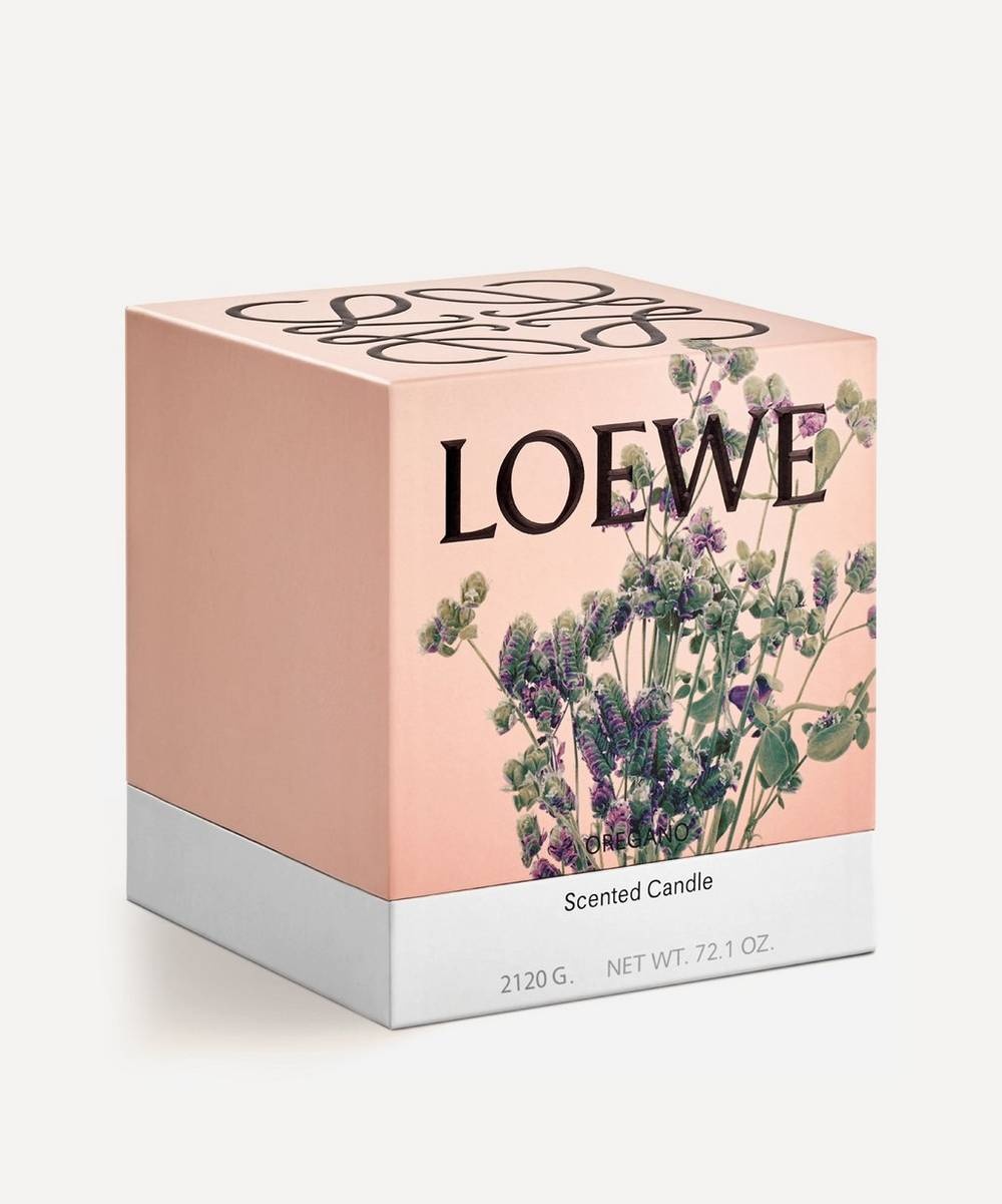 Large Oregano Candle 2120g - 4
