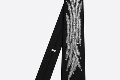 Dior Tie with Crystal Embroidery outlook