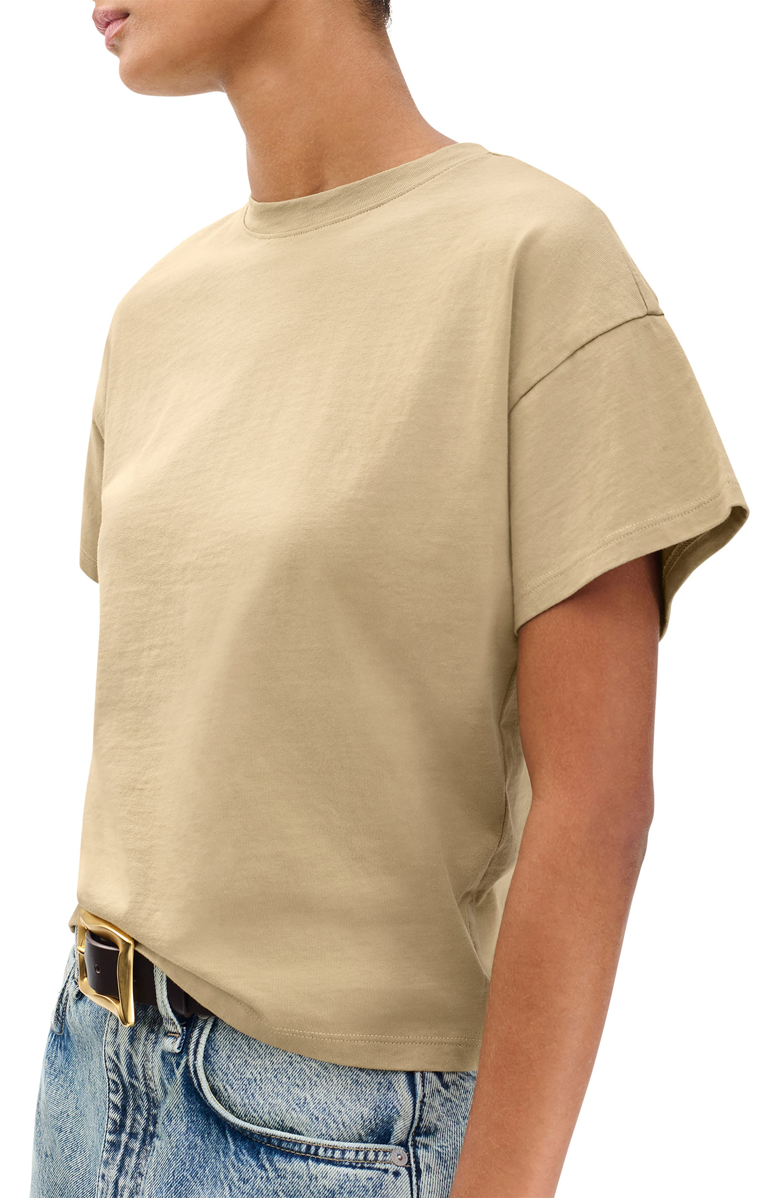 rag & bone Kelley Boxy Cotton Jersey T-Shirt in Desert Taupe at Nordstrom - 3